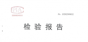 提升機重力下放裝置檢驗報告